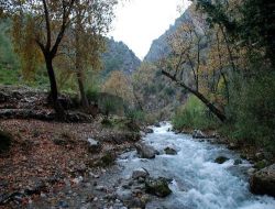 Muğla Valisi Altıparmak, Yuvarlak Çay'a Kurulacak Hidrolektrik Santralını Savundu