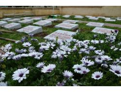 Çanakkale Şehitlikleri Zafer Kutlamalarına Hazırlanıyor