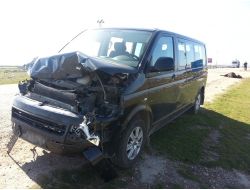 Otomobilin Çarptığı İnekler Öldü