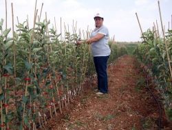 Meyvecilikte Doğru Tercih İçin Mutlaka Uzmanından Görüş Alınmalı