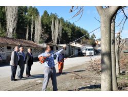 Tosya’da Bahar Hazırlıkları Başladı
