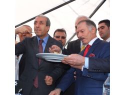 Türkiye'nin Çöpe Attığı Ekmek, İhraç Ettiği Buğdaydan Fazla