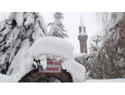 BİTLİS KARA GÖMÜLDÜ