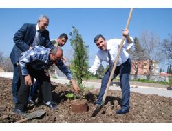 Başkan Altan Mezun Olduğu Okula Fidan Dikti