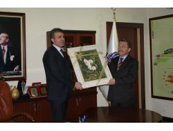 Bakan Çelik: Müzeleri Kasvetli Yerler Olmaktan Çıkaracağız