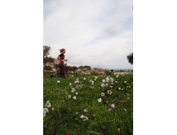 Dağ Laleleri Titreyengöl'de İlkbahar Sevinci Yaşattı