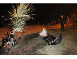 Direksiyon Hâkimiyetini Kaybeden Sürücü Takla Atarak Karşı Yöne Geçti