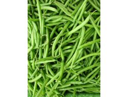 Yeşil Fasulye Şubat'ın Fiyat Şampiyonu Oldu