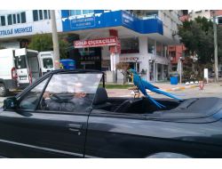 Güzel Havayı Fırsat Bildi, 2 Papağanıyla Gezmeye Çıktı