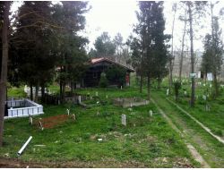 Tahta Çivilerle Yapılan Bin Yıllık Ahşap Camii İlgi Görüyor