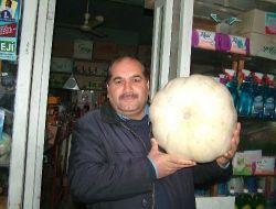 Bal Kabağı Tezgahlarda Yerini Aldı