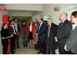 Balıkesir Kadın Danışma Birimi Hizmete Girdi