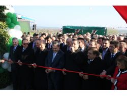 Bakan Eroğlu, Önce Faydasını Anlattı Sonra Kestane Dağıttı