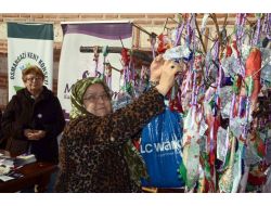 Dilek Ağacı, Kadınların Dayanışmasını Simgeleyecek