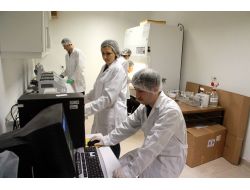 Omü Ziraat Fakültesi Öğrencileri, Doku Kültürüyle Virüssüz Bitki Üretti