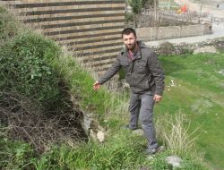 İçkale'de Bir Kuyuda Kemikler Bulundu