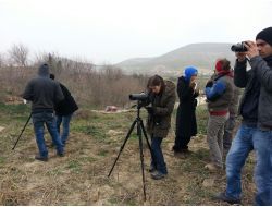Fırat Bölesinde Bir Yılda 6 Bin Su Kuşu Azaldı