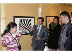 Sivas'ta Op-art Resim Sergisi Açıldı