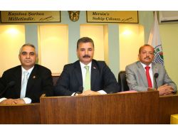 Toroslar'a Yüzme Havuzu Ve Amfi Tiyatro Yapılacak