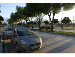 Aşırı Rüzgar Ağacı Seyir Halindeki Otomobilin Üzerine Devirdi