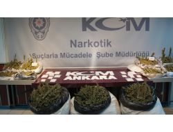 Ankara'da Uyuşturucu Çetesine Baskın: 11 Gözaltı