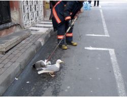 FATİH’TE MARTI OPERASYONU