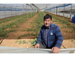 2b’de Yüzde 50 İndirim Tatmin Etmedi