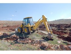 Cumhurbaşkanı Gül’ün Ziyareti Anısına Hatıra Ormanı