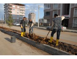 3. Çevre Yolu'nda Peyzaj Çalışması