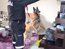 Jandarmadan Operasyon