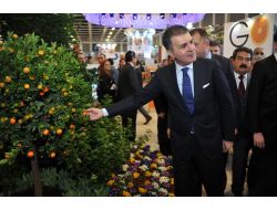 Çelik İle Arınç, Itb Berlin Fuarı’nda..