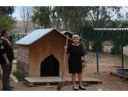 Hayvanseverler, Hayvanları Soğuktan Koruyacak!