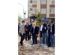 Her Aileye Bir Turunç