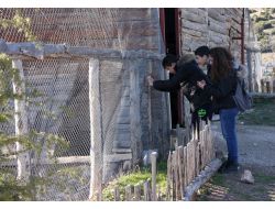 Yerli Ve Yabancı Öğrenciler Lisinia'yı Gezdi