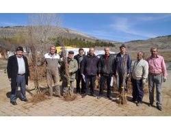 Yozgat’ta Çiftçilere 82 Bin Meyve Fidanı Dağıtıldı