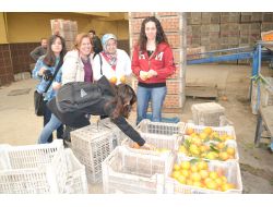 Yabancı Öğrenciler Finike Portakalına Hayran Kaldı