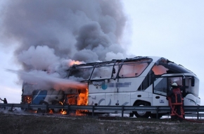 Faciadan son anda kurtuldular