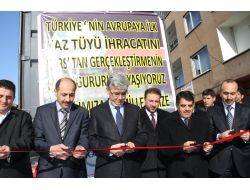 Beyaz Altın Kaz Tüyünün Avrupa’ya İlk İhracatı