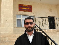 Suriye’den Gelen 110 Süryani Vatandaş Midyat’a Yerleşti