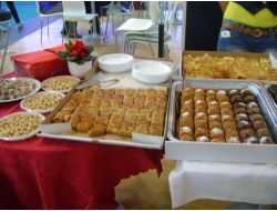 Ünye Çatom Macaristan'da Türkiye'yi Tanıttı