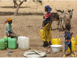 Başbakan'ın İşaret Ettiği Afrikalı Kadınların Yaşam Mücadelesi