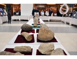 Taşların Gizemli Dünyasına Yolculuk