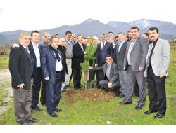 Yıldırım Belediyesi, Tarihi Hamamlıkızık’a Fidan Dikti