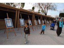 Resim Öğretmeni Altıntaş, Dördüncü Kişisel Sergisini Açtı