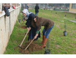 Ablalar Miniklerin Okulunu Ağaçlandırdı