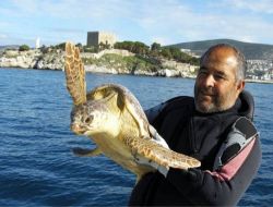 Kuşadası'nda Balık Ağına Kaplumbağa Takıldı