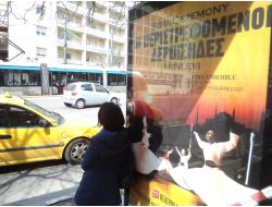 Atinalılar, Hz. Mevlana'nın Büyüleyici Çağrısına Koştu