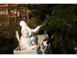 İzmir Büyükşehir Çamkese Mücadelesi Başlattı