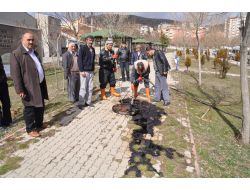 Kanalizasyona Karışan Fuel Oil, Rögar Kapağından Taştı