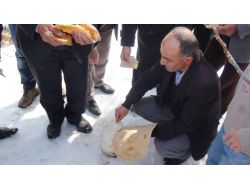 Köylüler Kazma Kürek Kuşandı, Kar Altında Peynir Arıyor